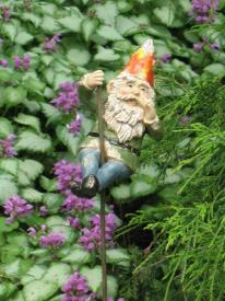 gnome